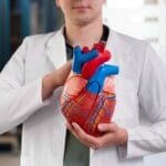Illustration des maladies cardiovasculaires et des organes concernés